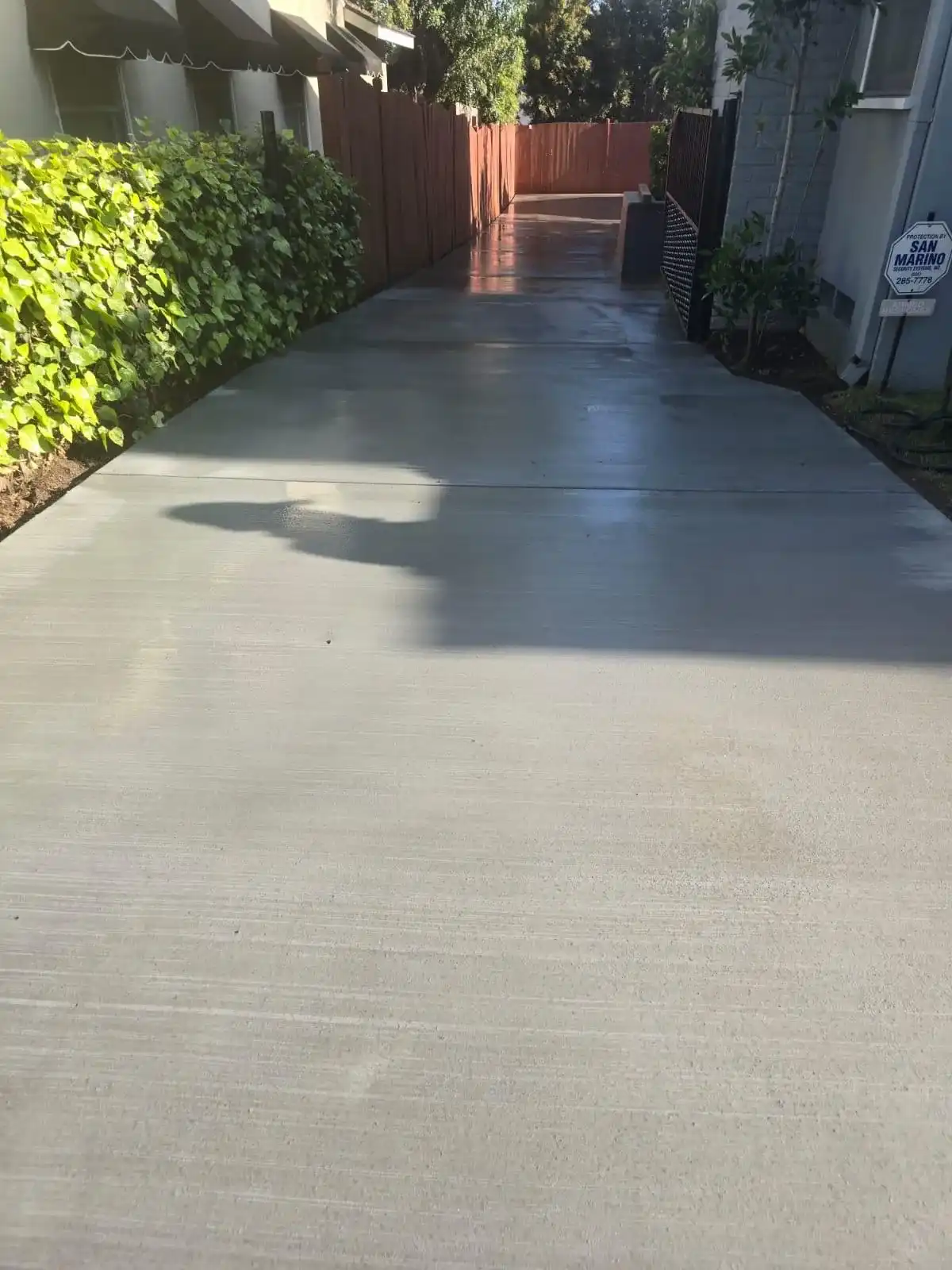 New Concrete Driveway Installation at Pasadena Residence 7 New concrete driveway leading to backyard, bordered by fencing.